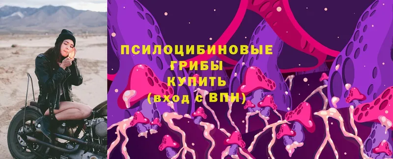 Галлюциногенные грибы Magic Shrooms  Шацк 